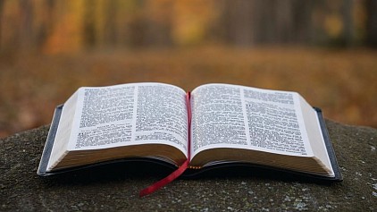 Catholic Mass Readings – Sunday